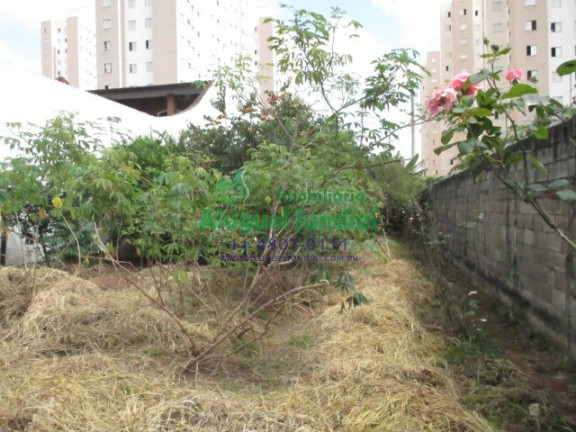 Imagem Terreno para Alugar ou Temporada, 310 m² em Cidade Nova - Jundiaí