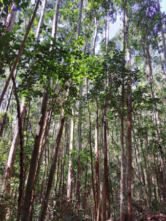 Imagem Chácara à Venda, em Centro - Bragança Paulista Imagem Chácara à Venda, em Centro - Bragança Paulista