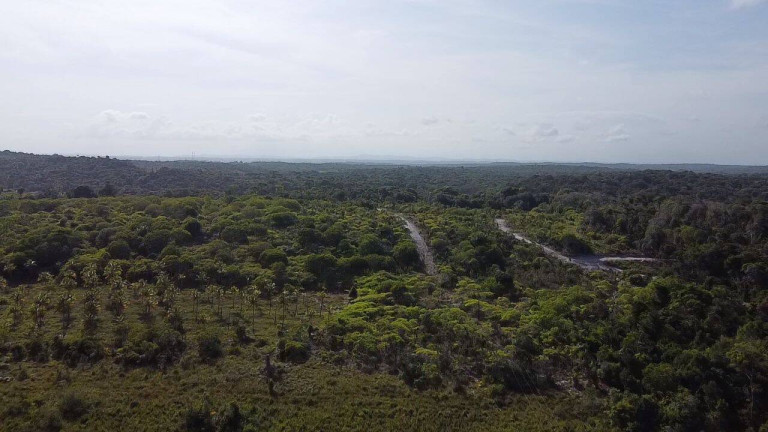 Terreno à Venda,  em Algodões - Marau