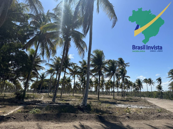 Imagem Terreno à Venda, em Centro Coroa Vermelha - Santa Cruz Cabrália Imagem Terreno à Venda, em Centro Coroa Vermelha - Santa Cruz Cabrália