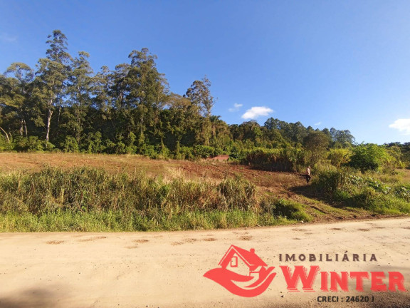 Imagem Chácara à Venda, 33.000 m² em Bananal - Feliz