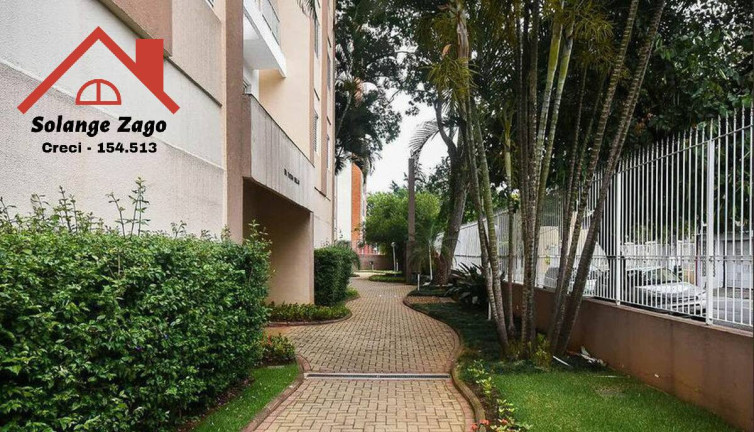Imagem Apartamento com 3 Quartos à Venda, 74 m² em Jardim Monte Kemel - São Paulo Imagem Apartamento com 3 Quartos à Venda, 74 m² em Jardim Monte Kemel - São Paulo