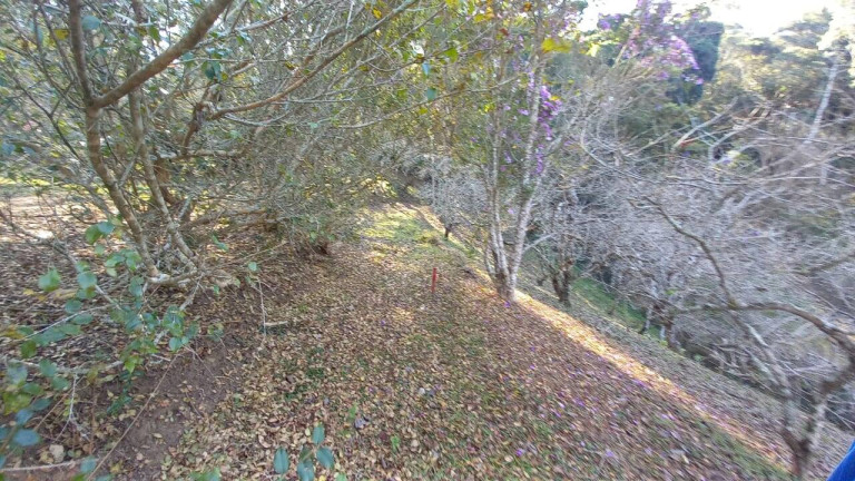 Imagem Chácara com 4 Quartos à Venda, 23 m² em Braunes - Nova Friburgo