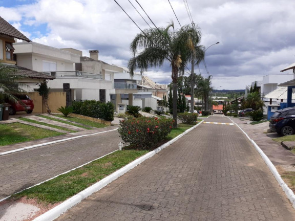 Imagem Terreno à Venda, 300 m² em Aberta Dos Morros - Porto Alegre Imagem Terreno à Venda, 300 m² em Aberta Dos Morros - Porto Alegre