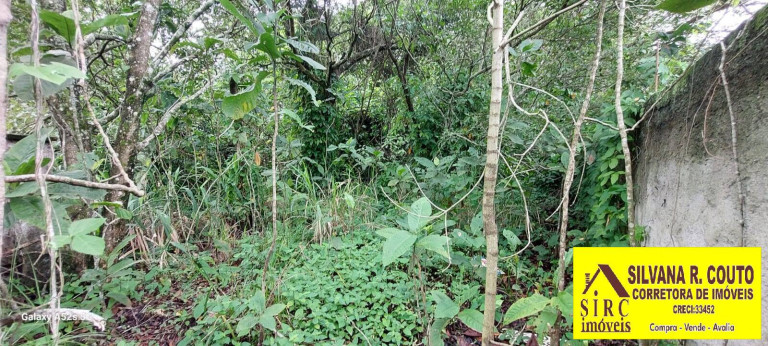 Imagem Terreno à Venda, 1 m² em Chácaras De Inoã (inoã) - Maricá Imagem Terreno à Venda, 1 m² em Chácaras De Inoã (inoã) - Maricá