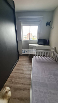 Imagem Apartamento com 3 Quartos à Venda, 90 m² em Vila Apiaí - Santo André