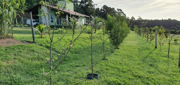 Imagem Imóvel com 2 Quartos à Venda, 40.000 m² em Sousas - Campinas Imagem Imóvel com 2 Quartos à Venda, 40.000 m² em Sousas - Campinas