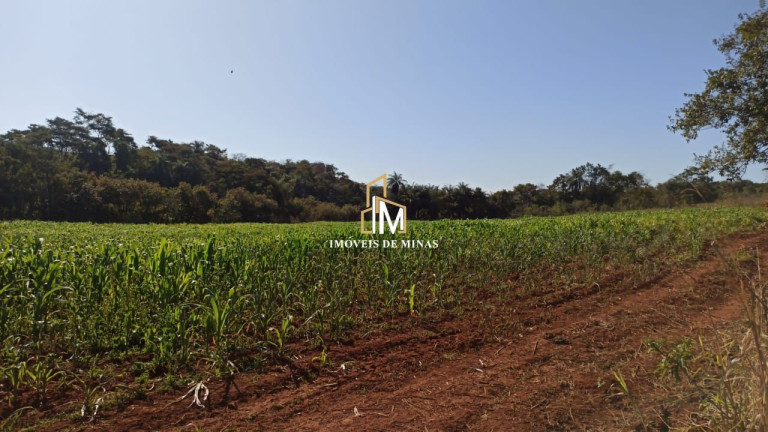 Imóvel com 5 Quartos à Venda, 21.950.000 m² em Zona Rural - Sete Lagoas