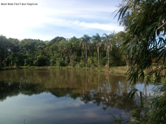 Terreno à Venda, 4 m² em Pinhal Alto - Nova Petrópolis