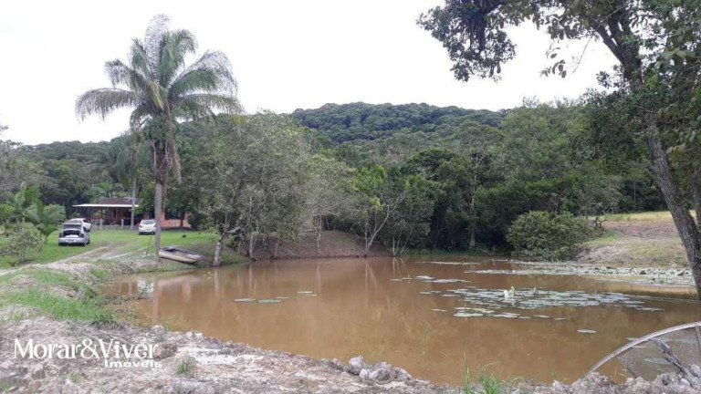 Imagem Imóvel com 3 Quartos à Venda, 84.750 m² em Alexandra - Paranaguá