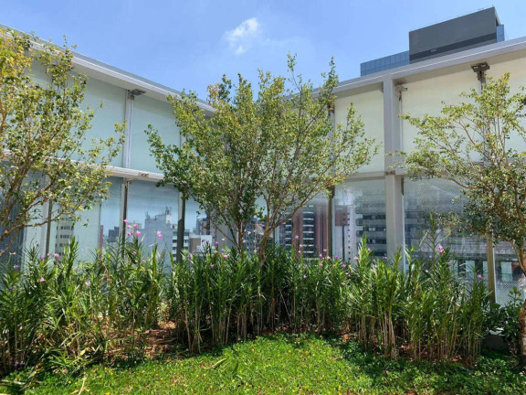 Imagem Ponto Comercial à Venda, 46 m² em Pinheiros - São Paulo Imagem Ponto Comercial à Venda, 46 m² em Pinheiros - São Paulo