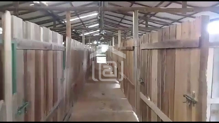 Imagem Imóvel com 1 Quarto à Venda, 20.000 m² em Bocaina (rural) - Caldas