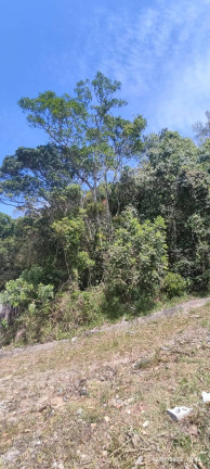 Imagem Terreno à Venda, 423 m² em Morrinhos - Bombinhas Imagem Terreno à Venda, 423 m² em Morrinhos - Bombinhas