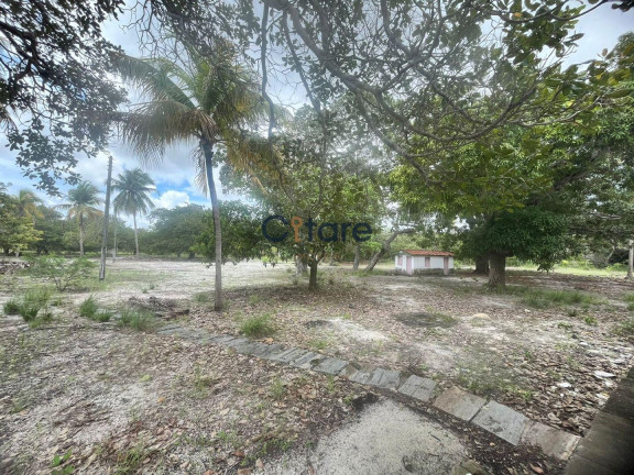 Imagem Terreno à Venda, 99.520 m² em Mal Cozinhado - Horizonte
