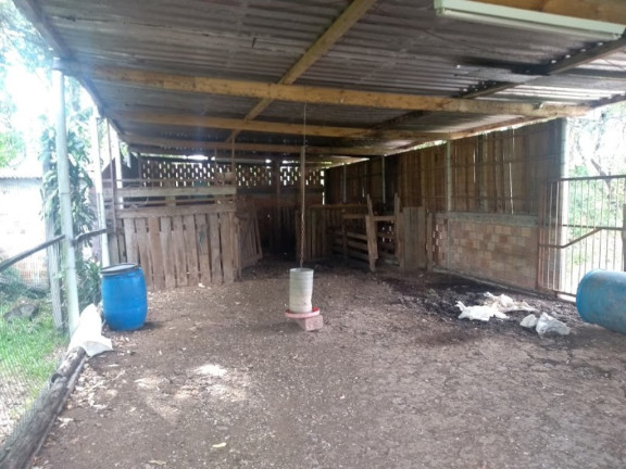 Imagem Imóvel com 4 Quartos à Venda, 150 m² em Lami - Porto Alegre