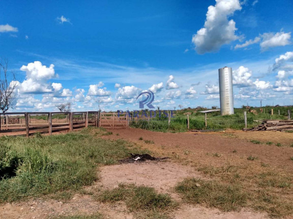 Fazenda à Venda, 17.799.000 m² em Zona Rural - Baianópolis