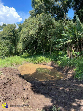 Imagem Chácara à Venda, 41 m² em Pitangueiras - Pedra Bela