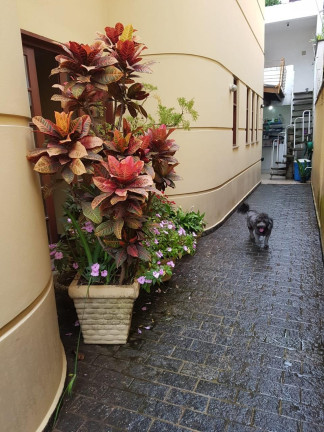 Imagem Casa com 3 Quartos à Venda, 200 m² em Portal Do Morumbi - São Paulo Imagem Casa com 3 Quartos à Venda, 200 m² em Portal Do Morumbi - São Paulo