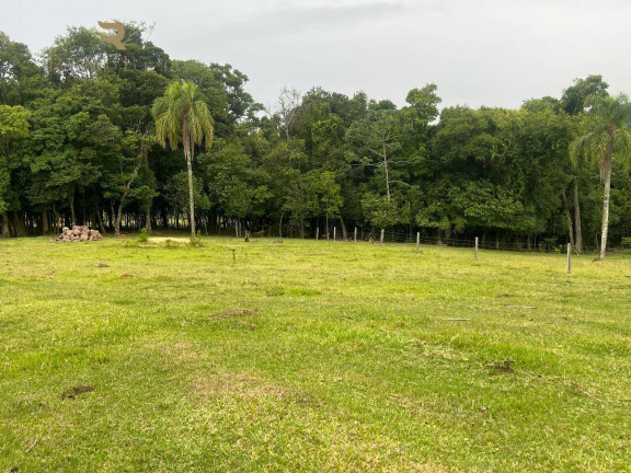 Imagem Chácara com 2 Quartos à Venda, 32.000 m² em Fazenda Fialho - Taquara