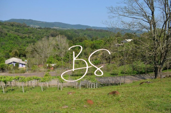 Imagem Imóvel à Venda, 100.000 m² em Linha Bonita - Gramado