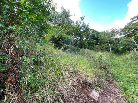 Imagem Terreno à Venda, 245 m² em Malícia (abrantes) - Camaçari Imagem Terreno à Venda, 245 m² em Malícia (abrantes) - Camaçari