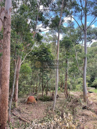 Imagem Terreno à Venda, 360 m² em Bosque Dos Eucalíptos - Atibaia Imagem Terreno à Venda, 360 m² em Bosque Dos Eucalíptos - Atibaia