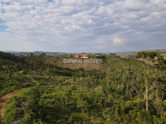 Imagem Imóvel à Venda, em Região Do Alto Do Capivari - Campos Do Jordão Imagem Imóvel à Venda, em Região Do Alto Do Capivari - Campos Do Jordão