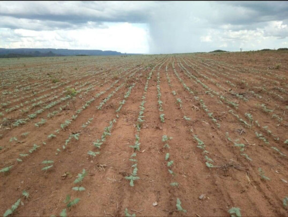 Imagem Fazenda à Venda,  em Poxoréo
