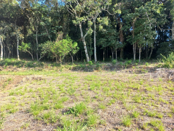 Imagem Terreno à Venda, 420 m² em Esmeralda - Santa Cruz Do Sul