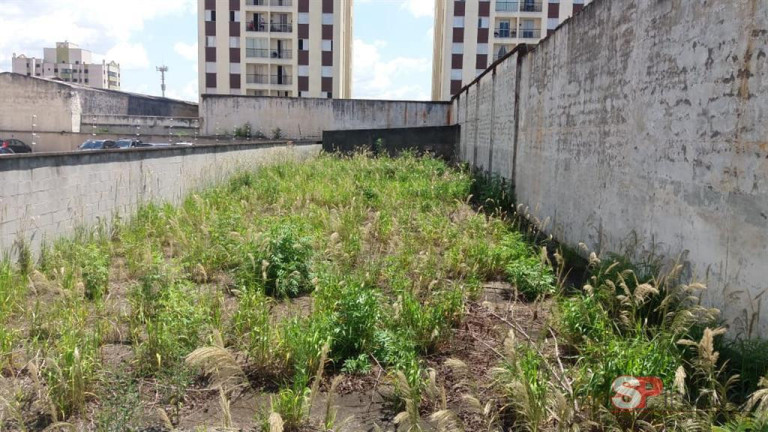 Imagem Terreno à Venda, 500 m² em Jardim Vila Formosa - São Paulo Imagem Terreno à Venda, 500 m² em Jardim Vila Formosa - São Paulo