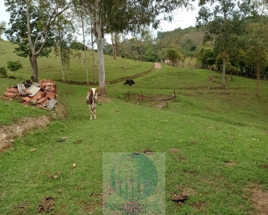 Imagem Imóvel com 2 Quartos à Venda, 150.000 m² em Rural - Jacuí Imagem Imóvel com 2 Quartos à Venda, 150.000 m² em Rural - Jacuí
