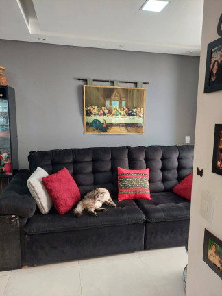 Imagem Apartamento com 3 Quartos à Venda, 65 m² em Catumbi - São Paulo