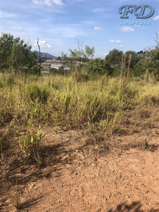 Imagem Terreno à Venda, 61.861 m² em Terra Preta (terra Preta) - Mairiporã Imagem Terreno à Venda, 61.861 m² em Terra Preta (terra Preta) - Mairiporã