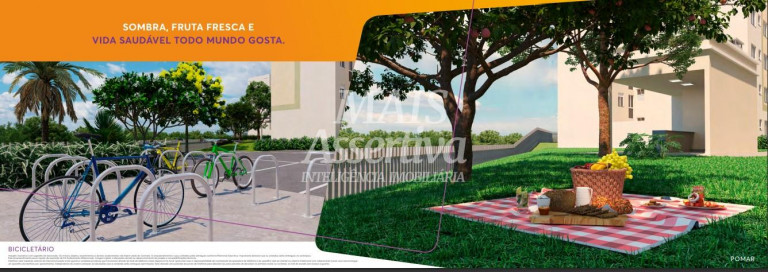 Imagem Apartamento com 2 Quartos à Venda, 41 m² em Santos Dumont - São Leopoldo Imagem Apartamento com 2 Quartos à Venda, 41 m² em Santos Dumont - São Leopoldo