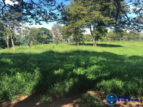 Imagem Fazenda à Venda, 52 m² em Zona Rural - Senador Canedo Imagem Fazenda à Venda, 52 m² em Zona Rural - Senador Canedo