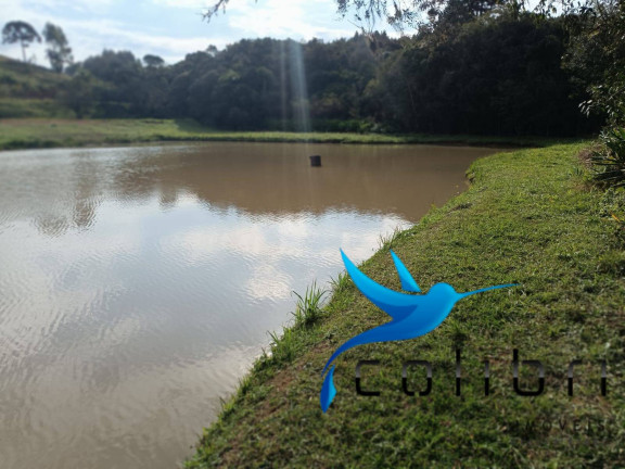 Imagem Chácara à Venda, 13.512 m² em Taquara Lisa - Agudos Do Sul