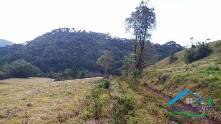 Imagem Terreno à Venda, 38 m² em Centro - Gonçalves