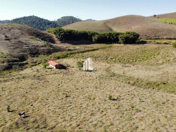 Chácara com 1 Quarto à Venda, 60.500 m² em Angola - Santa Branca