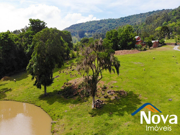 Imagem Imóvel à Venda, 50.000 m² em Linha Brasil - Nova Petrópolis