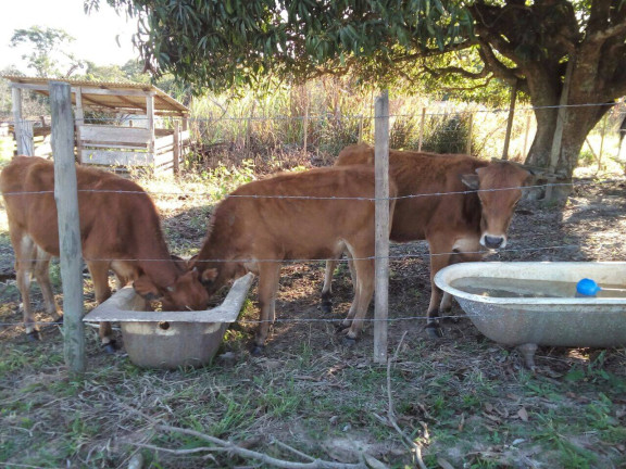 Imagem Chácara com 3 Quartos à Venda, 44 m² em Jundiacanga - Araçoiaba Da Serra