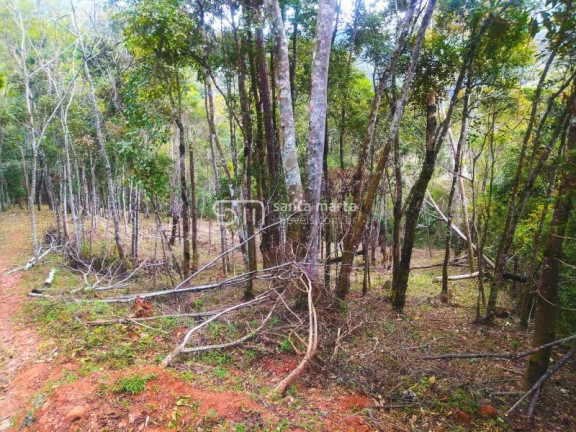 Imagem Imóvel com 1 Quarto à Venda, 5.000 m² em Casa Montanha - Delfim Moreira