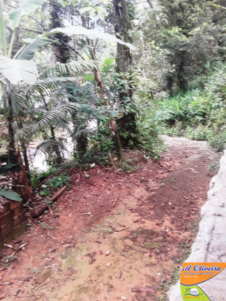 Chácara com 2 Quartos à Venda, 100 m² em Casanga - Ubatuba