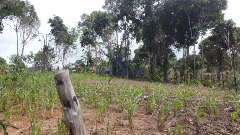 Imagem Fazenda à Venda, 20.000 m² em Barra Do Pojuca - Camaçari Imagem Fazenda à Venda, 20.000 m² em Barra Do Pojuca - Camaçari