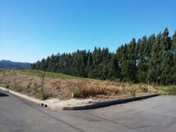 Imagem Terreno à Venda, 375 m² em Pinhal Alto - Nova Petrópolis Imagem Terreno à Venda, 375 m² em Pinhal Alto - Nova Petrópolis
