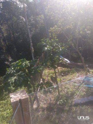 Imagem Fazenda à Venda, 46.887 m² em Sul Do Rio - Santo Amaro Da Imperatriz Imagem Fazenda à Venda, 46.887 m² em Sul Do Rio - Santo Amaro Da Imperatriz