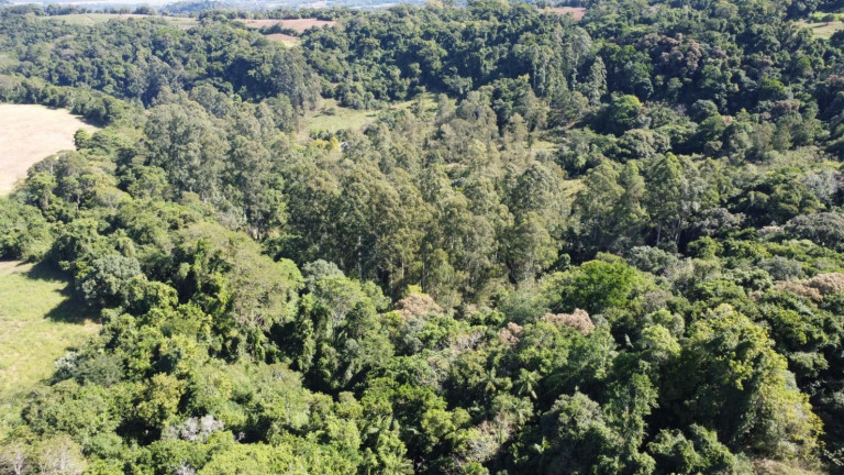 Imagem Chácara à Venda, 77.000 m² em Zona Rural - Passo Do Sobrado Imagem Chácara à Venda, 77.000 m² em Zona Rural - Passo Do Sobrado