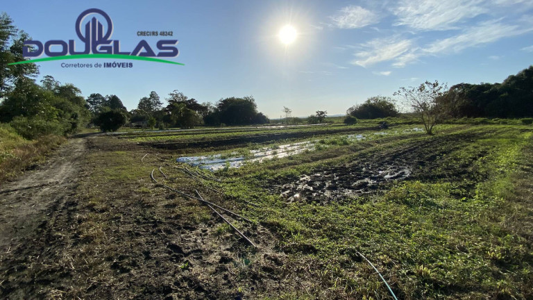 Imagem Chácara à Venda, em águas Claras - Viamão Imagem Chácara à Venda, em águas Claras - Viamão