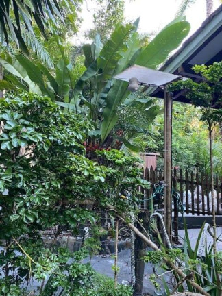 Imagem Casa com 4 Quartos à Venda, em Boipeba - Cairu - Cairu Imagem Casa com 4 Quartos à Venda, em Boipeba - Cairu - Cairu