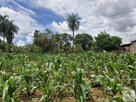 Imagem Terreno à Venda, 364 m² em Jardim Cristal - Aparecida De Goiânia Imagem Terreno à Venda, 364 m² em Jardim Cristal - Aparecida De Goiânia