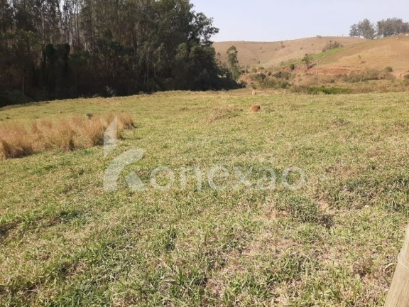 Imagem Chácara com 3 Quartos à Venda, 200 m² em Sao Germano - Paraibuna Imagem Chácara com 3 Quartos à Venda, 200 m² em Sao Germano - Paraibuna